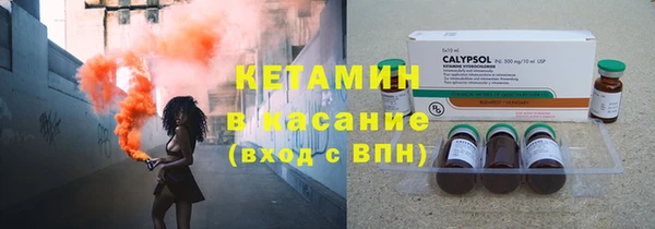 гидра Абаза