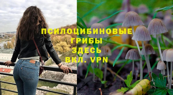 гидропоника Алексин
