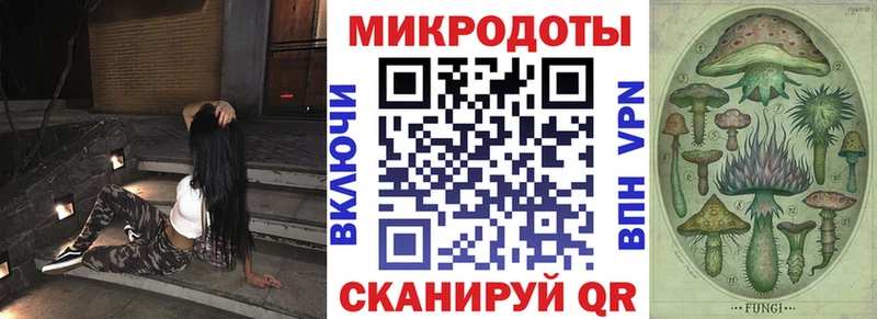 Псилоцибиновые грибы GOLDEN TEACHER  сколько стоит  блэк спрут как зайти  Гаджиево 